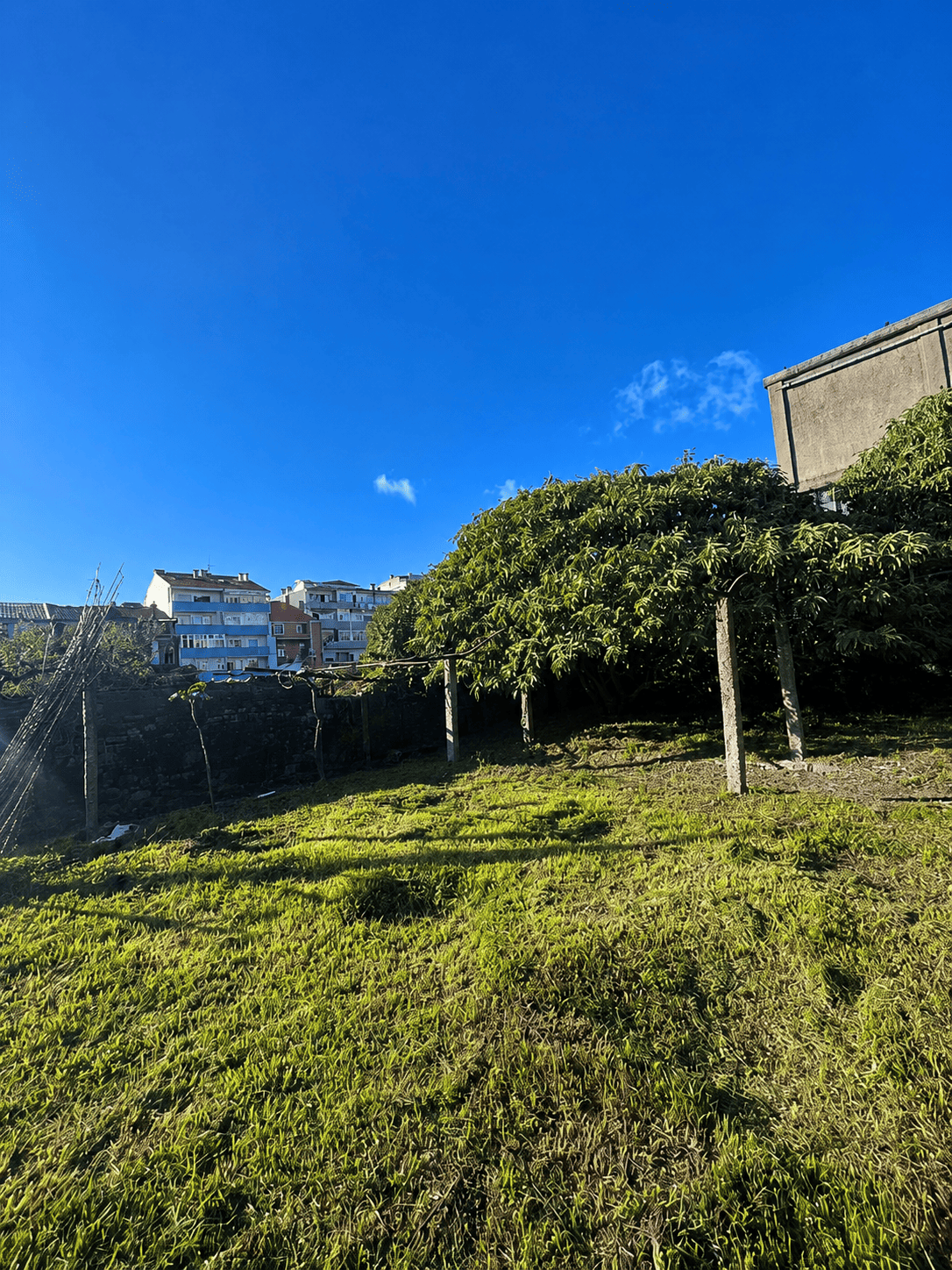 exterior 1