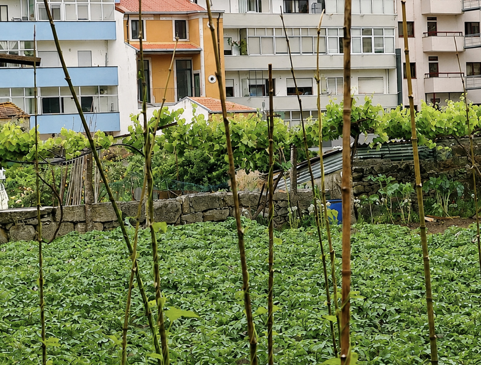 Farm.